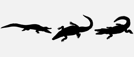 isolated black silhouette of a crocodile , vector collection