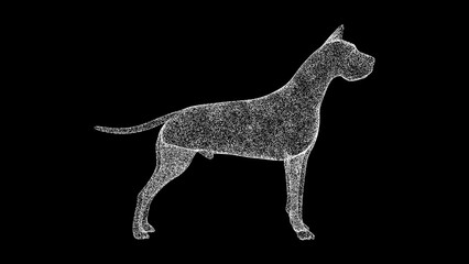 3D dog on black background. Object made of shimmering particles. Pets care concept. For title, text, presentation. 3d animation.