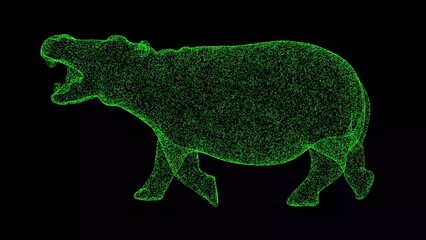 3D hippopotamus on black background. Object made of shimmering particles. Wild animals concept. For title, text, presentation. 3d animation.