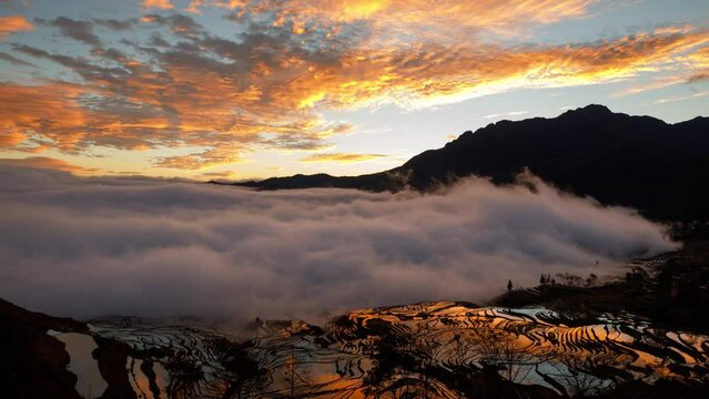 Amazing time lapse of the morning fog coming in at the terraced rice fields in Yuanyang China