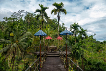 Tegallalang Rice Terraces, Ubud, Bali, Indonesia