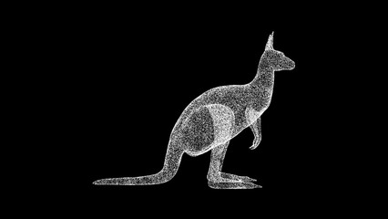 3D kangaroo on black background. Object made of shimmering particles. Wild animals concept. For title, text, presentation. 3d animation.