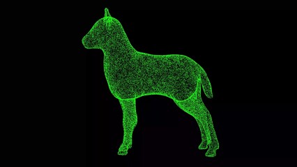 3D lamb on black background. Object made of shimmering particles. Wild animals concept. For title, text, presentation. 3d animation.