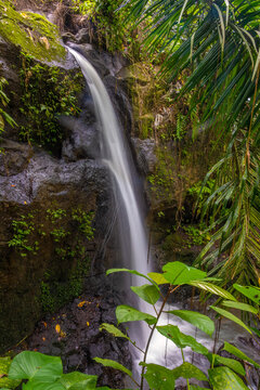 Waterfall in the lush grounds of the Goa Gajah, or Elephant Cave Temple, near Ubud, Bali, Indonesia © Luis