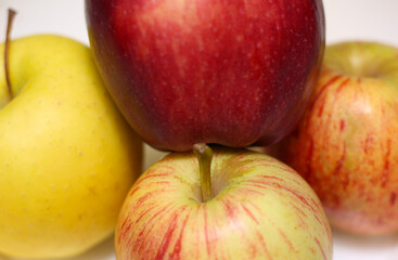 variety apples. different types of apples. apple colors. varieties of the same fruit.