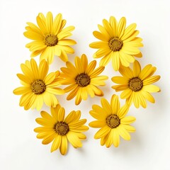 yellow flowers of daisies with ornamental flowers isolated on white background generated with ia