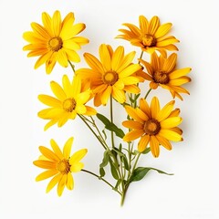 Yellow flowers with green chrysanthemum leaves on white background generated with AI