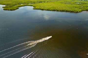 Overhead view of small boat on Everglades swamps with green vegetation between water inlets. Natural habitat of many tropical species in Florida wetlands