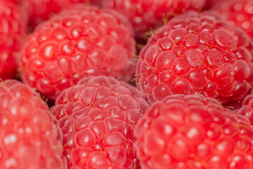 Closeup of raspberries