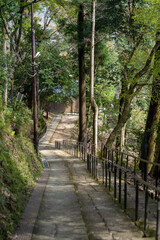 Kyoto Country Side Walk Way
