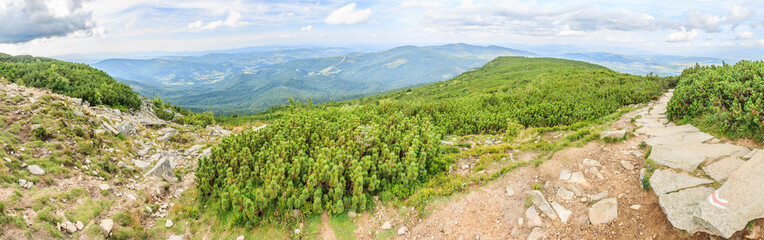 Fototapeta na wymiar Panorama of the Beskid Żywiecki peaks (Poland) seen from a place near the Sokolica peak from the red tourist trail on the way to Babia Góra from the Krowiarki pass on a cloudy summer day.