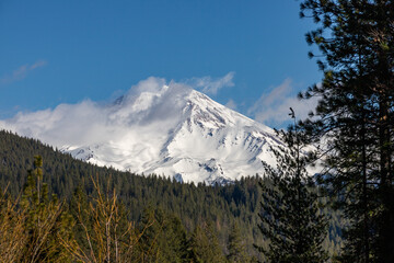 Mount Shasta