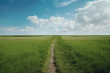 The landscape of grass fields and blue sky road leading off into the distance. Generative Ai.