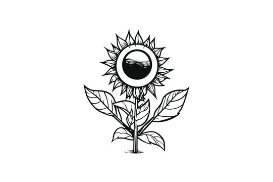 sunflower with leaves Minimal Vector Logo Design Tshirt Sublimation Illustration tattoo design