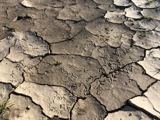 Dry land in desert 