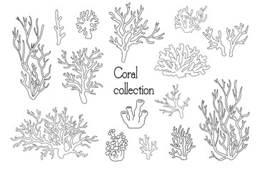 sea corals and seaweed black silhouette vector isolated © Tetiana Komarytska