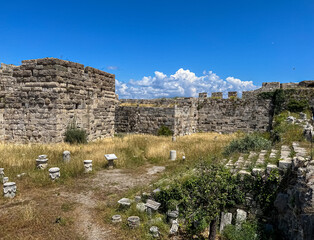 ruins of the castle