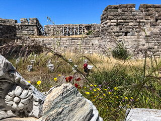 Ruins of the castle 