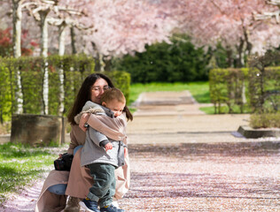 Fototapeta premium A young mother hugs her little son on a flowering alley in the park on a spring sunny day. They have fun and play together. Mom squats, hugs the child and holds the camera. Cherry blossoms.