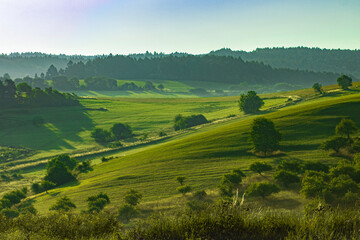 Fototapeta na wymiar Landscape with green fields and blue sky