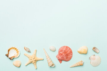 Sea shells on color background, top view