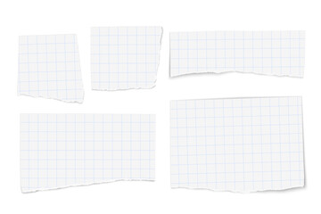 Set of white vector checkered paper tears isolated on white