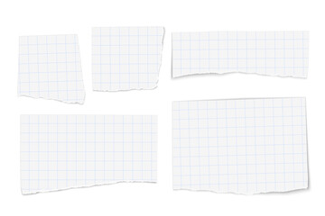 Set of white checkered paper tears isolated on white