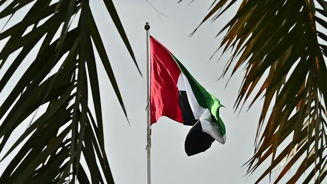 Slow motion UAE Flag