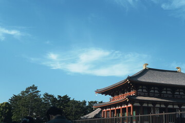 Obraz premium 奈良の風景