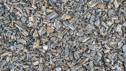 Seeds background