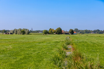 Green meadows and farms in the South Holland village of Sassenheim in the Netherlands. On a clear blue day.