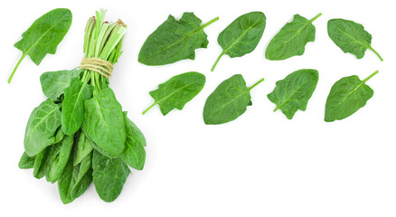 fresh spinach isolated on white background with copy space for your text. Top view. Flat lay