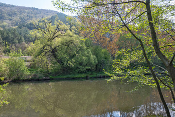 Spring Landscape of Pancharevo lake, Bulgaria