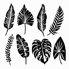 set of decorative leaves black silhouettes on a white background