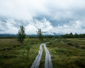Fototapeta premium hiking trail in swedish mountains