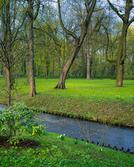Piękny zielony początek wiosny w Warszawskim parku miejskim - obrazy, fototapety, plakaty