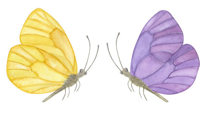 Naklejka premium Beautiful pastel purple yellow butterfly. Hand-drawn watercolor illustration isolated on white background. Can be used for card, poster, stickers, scrapbook