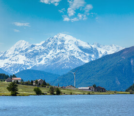 Summer Reschensee view with blossoming dandelion Alpine meadow (Italy)