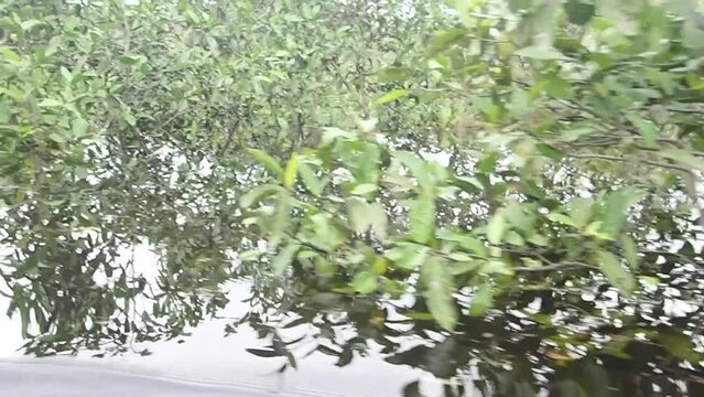 Im Schlauchboot durch den Regenwald