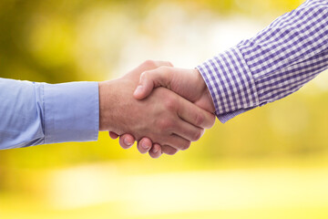 Nature's Connection: Embracing collaboration with a Handshake against a serene nature background