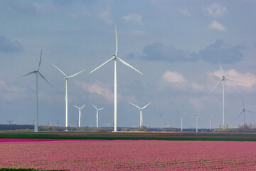 wind turbines in the field
