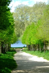 Papier Peint photo Destinations A large path to join a nice lake. Versailles, Spring.