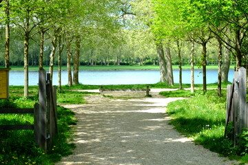 A large path to join a nice lake. Versailles, Spring.