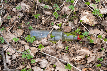 Empty transparent glass bottle with red cap on the ground in forest