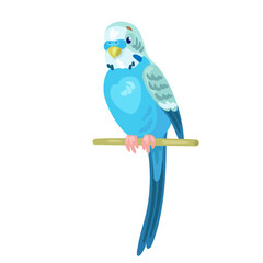 Small blue parrot sits on a stick. In cartoon style. Isolated on white background. Vector flat illustration