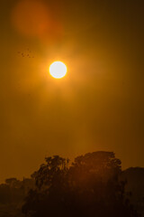 Brazilian Sunrise
Very beautiful, the sunrise in brazilian savannah has many colors.