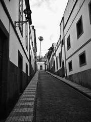 Calle adoquinada en Arucas islas Canarias 