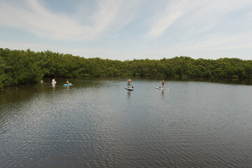 Fototapeta na wymiar Multiple Paddle Boards and Kayak riders in a mangrove bay in Florida. On a sunny day and calm waters. 