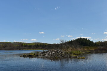 Marais Kinsbury 6 Mai 2023