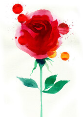 Red rose on white background. Hand-drawn ink and watercolor with splatters on paper